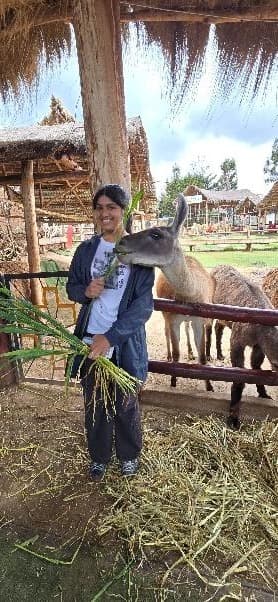 City Tour Cusco 3