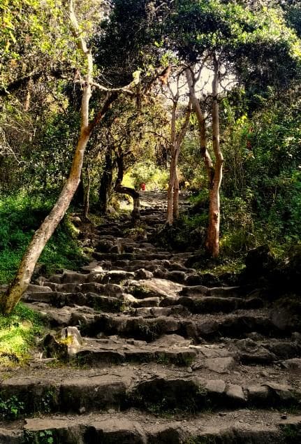 Inca Trail to Machu Picchu 4 Days / 3 Nights – Private Service 3